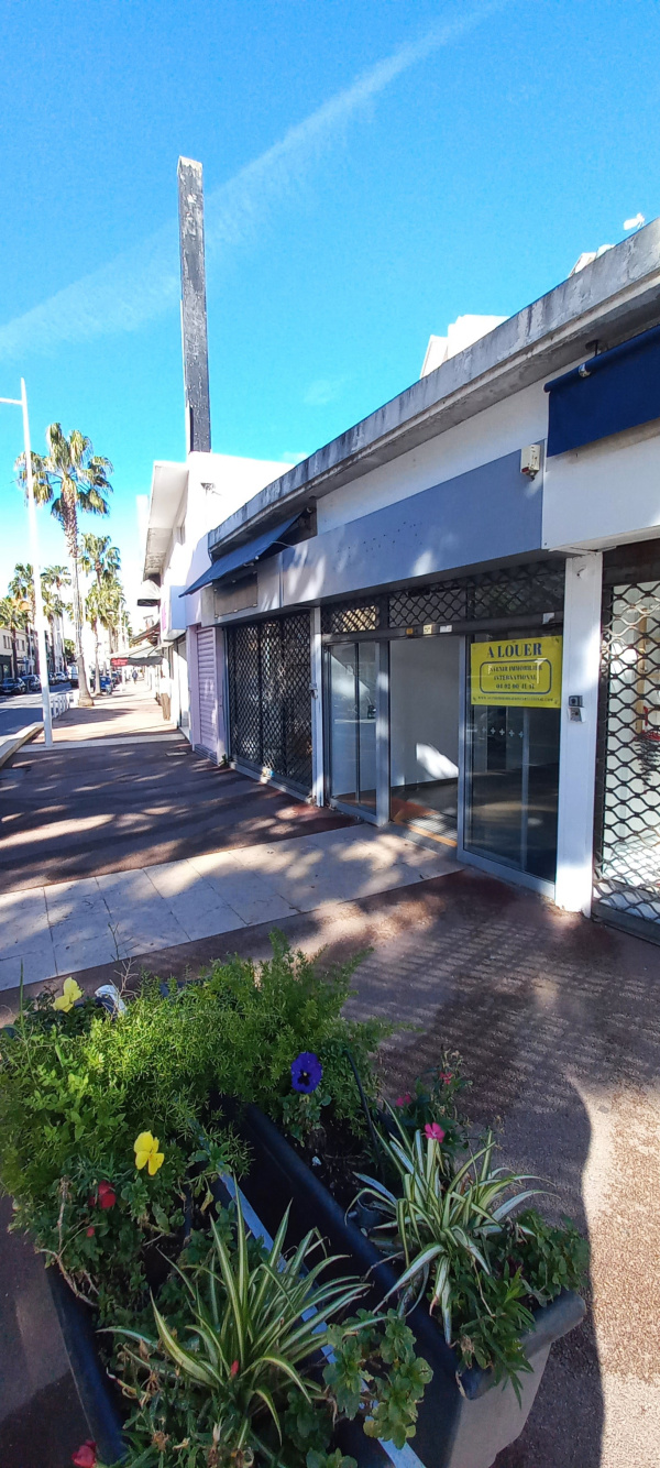 Location Immobilier Professionnel Local commercial Antibes 06600