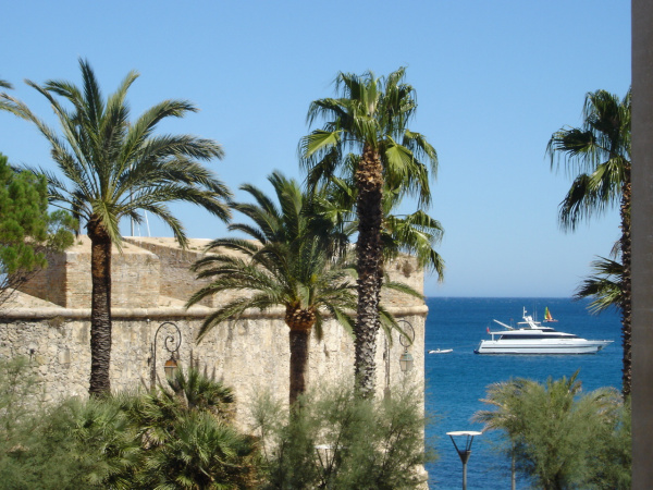 Vente Immobilier Professionnel Murs commerciaux Antibes 06600