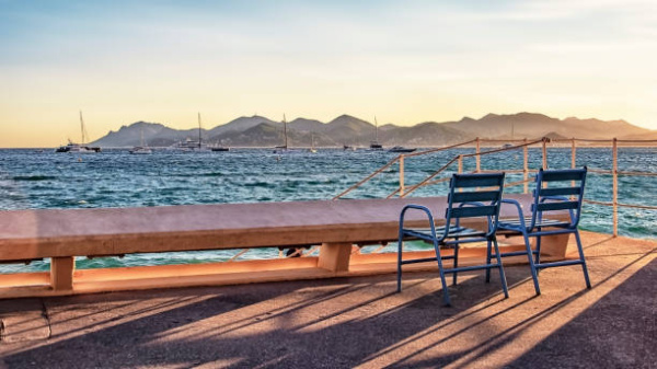 Location Immobilier Professionnel Local commercial Cannes 06400