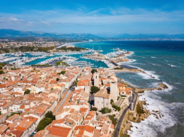 Location Immobilier Professionnel Local commercial Antibes 06600