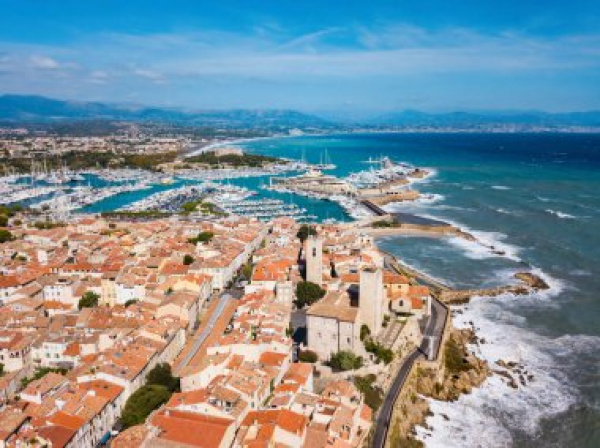 Vente Immobilier Professionnel Local d'activité Antibes 06600